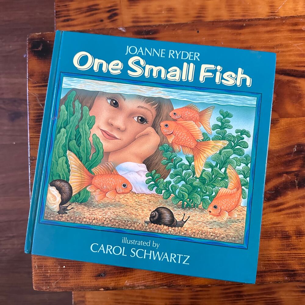 Vintage 1993 One Small Fish Hardcover Book